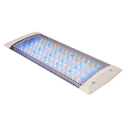 LED Light - NL 12 volt